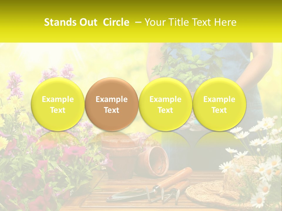 A Person Holding A Potted Plant In Their Hands PowerPoint Template