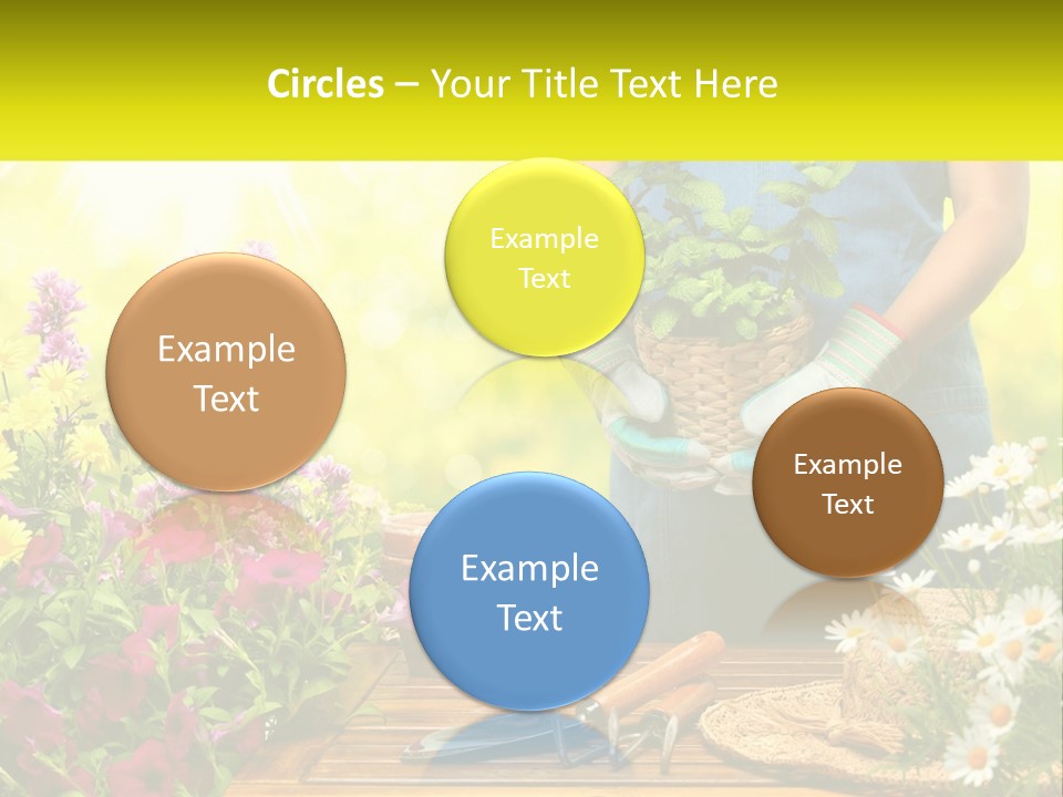 A Person Holding A Potted Plant In Their Hands PowerPoint Template