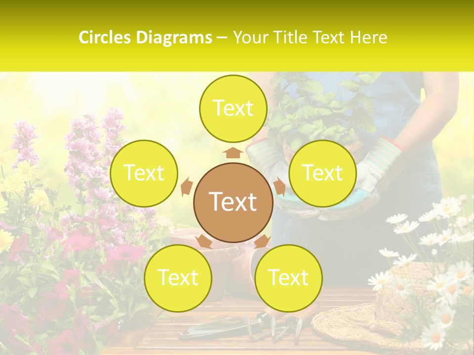 A Person Holding A Potted Plant In Their Hands PowerPoint Template