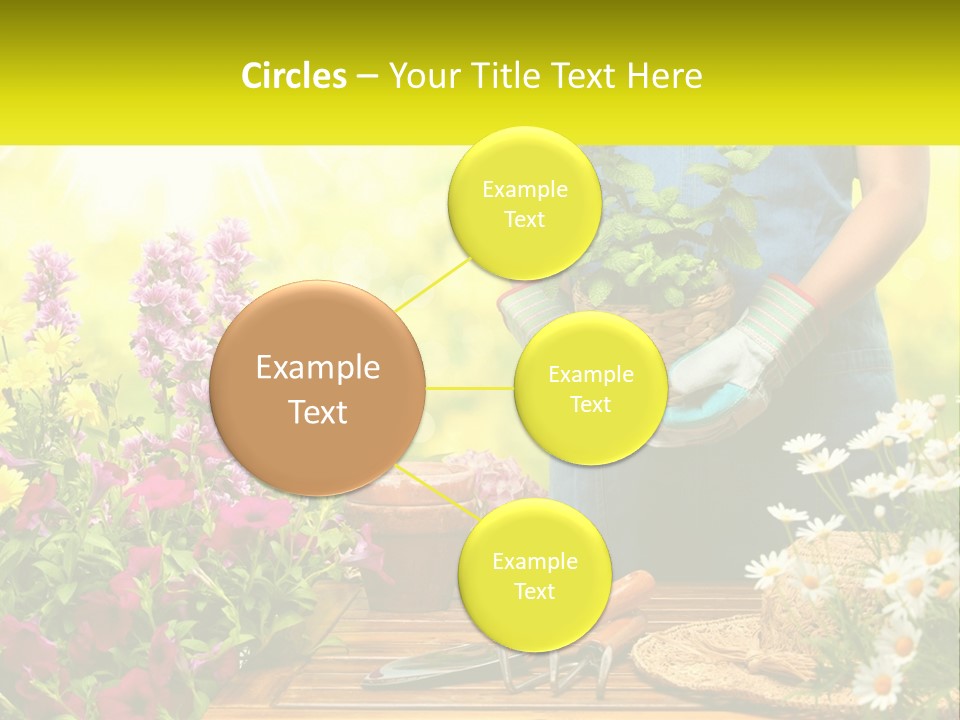 A Person Holding A Potted Plant In Their Hands PowerPoint Template