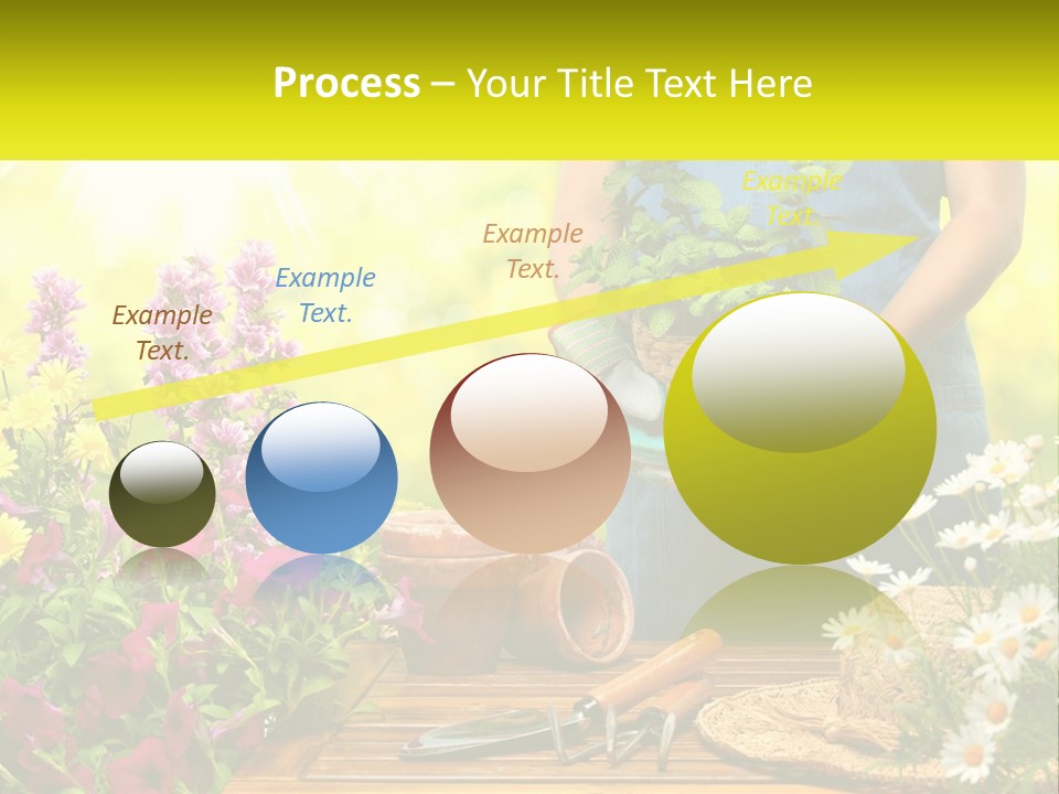 A Person Holding A Potted Plant In Their Hands PowerPoint Template