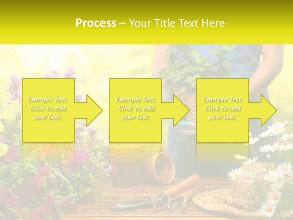 A Person Holding A Potted Plant In Their Hands PowerPoint Template
