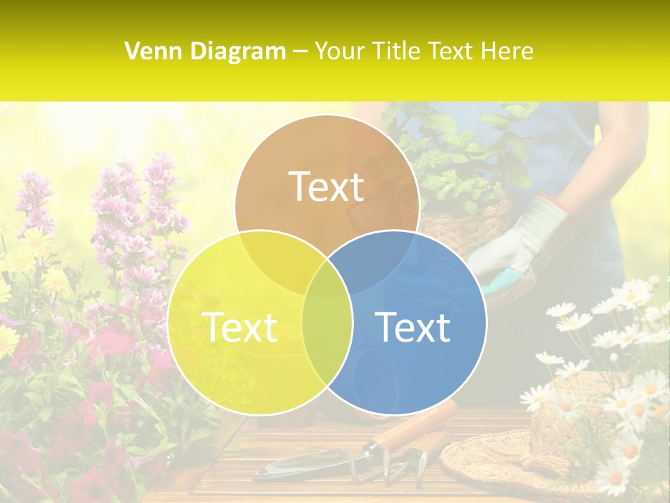 A Person Holding A Potted Plant In Their Hands PowerPoint Template