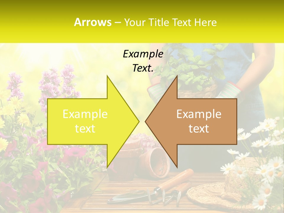 A Person Holding A Potted Plant In Their Hands PowerPoint Template