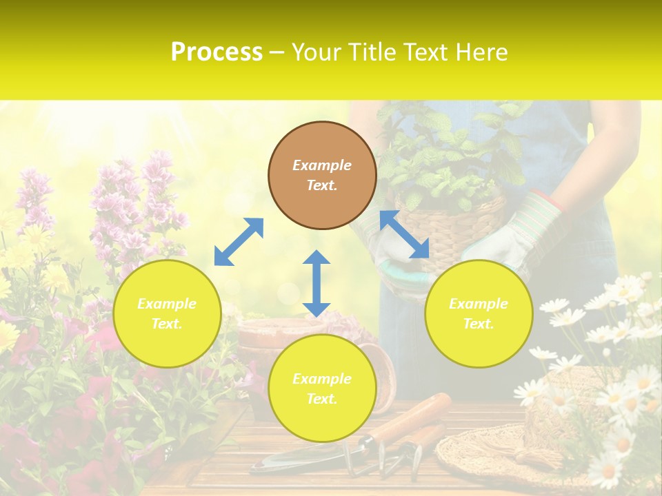 A Person Holding A Potted Plant In Their Hands PowerPoint Template