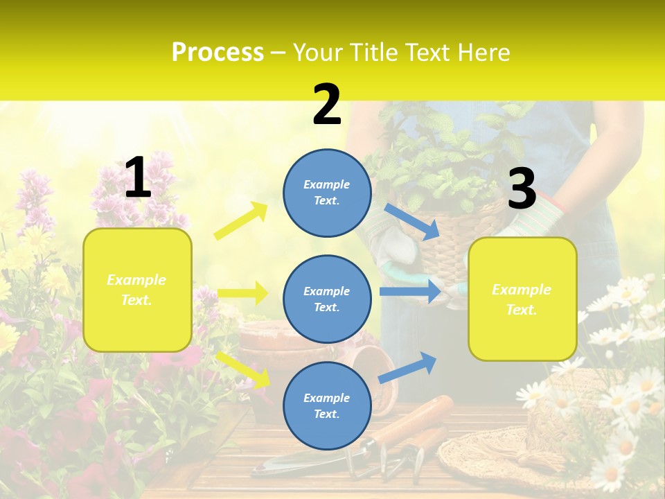 A Person Holding A Potted Plant In Their Hands PowerPoint Template