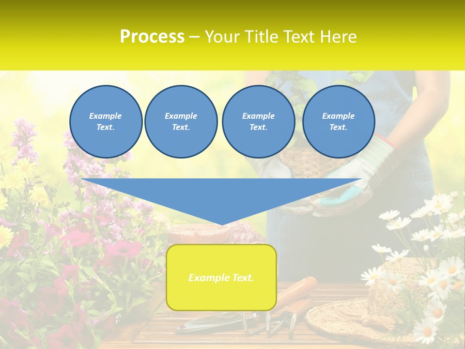 A Person Holding A Potted Plant In Their Hands PowerPoint Template