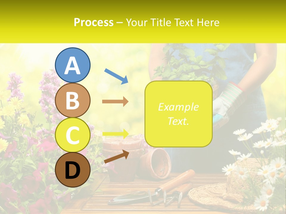 A Person Holding A Potted Plant In Their Hands PowerPoint Template