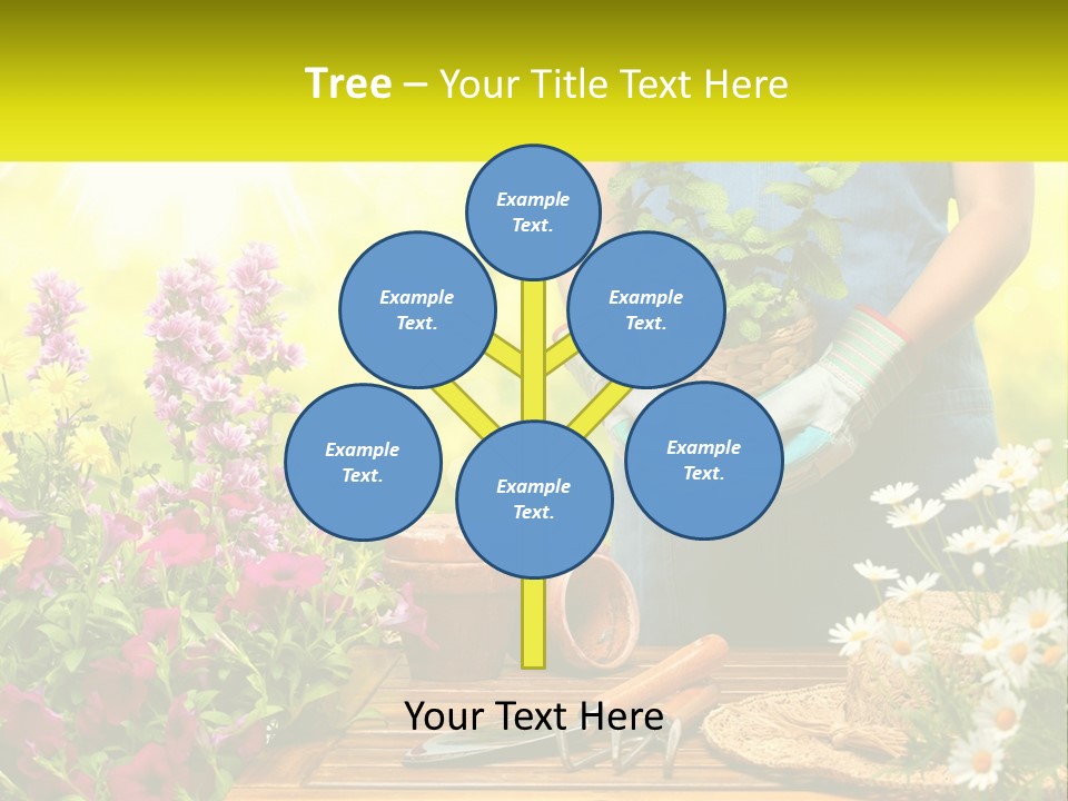 A Person Holding A Potted Plant In Their Hands PowerPoint Template
