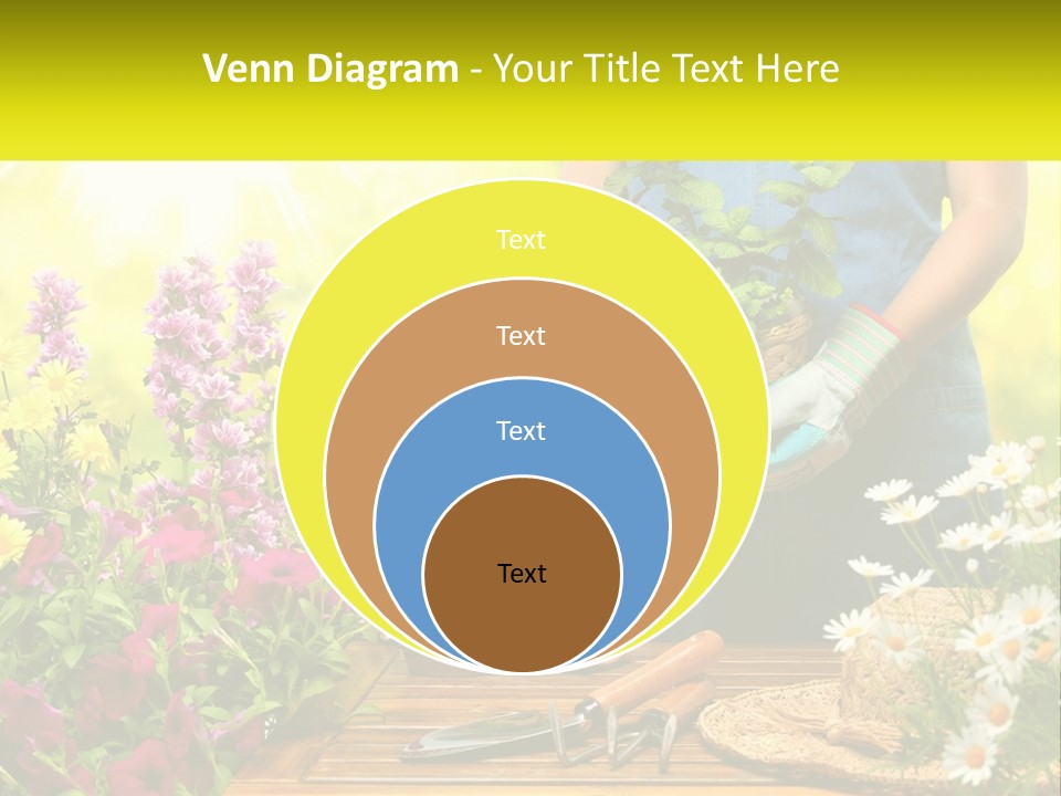 A Person Holding A Potted Plant In Their Hands PowerPoint Template
