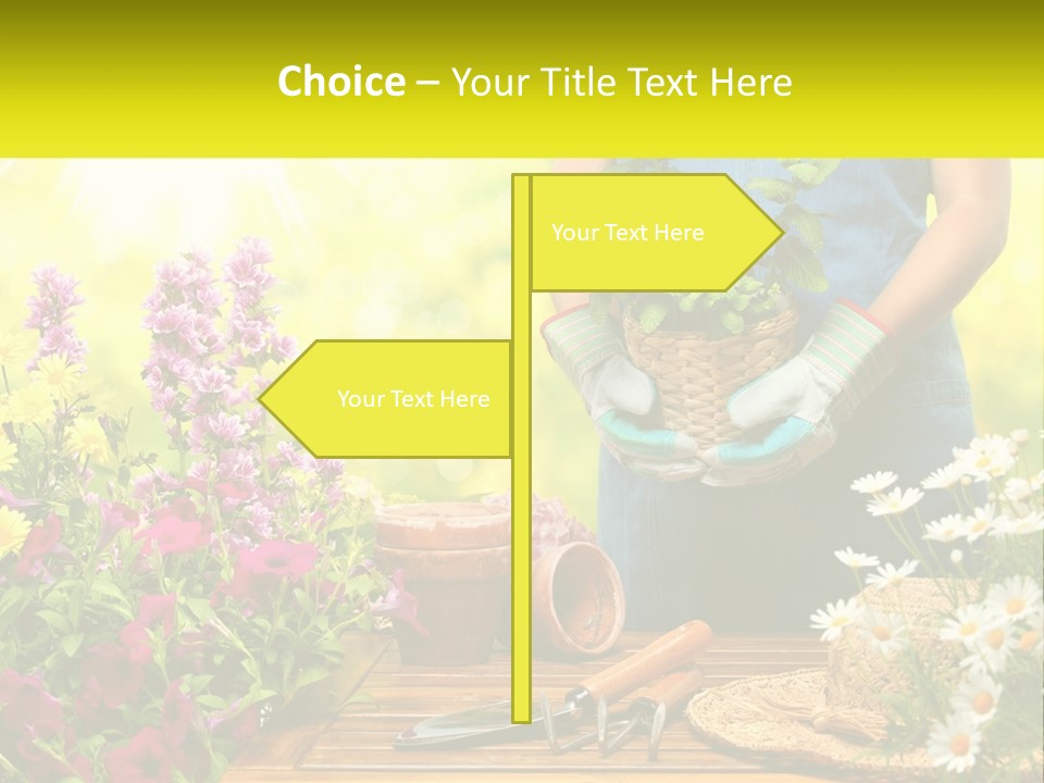 A Person Holding A Potted Plant In Their Hands PowerPoint Template