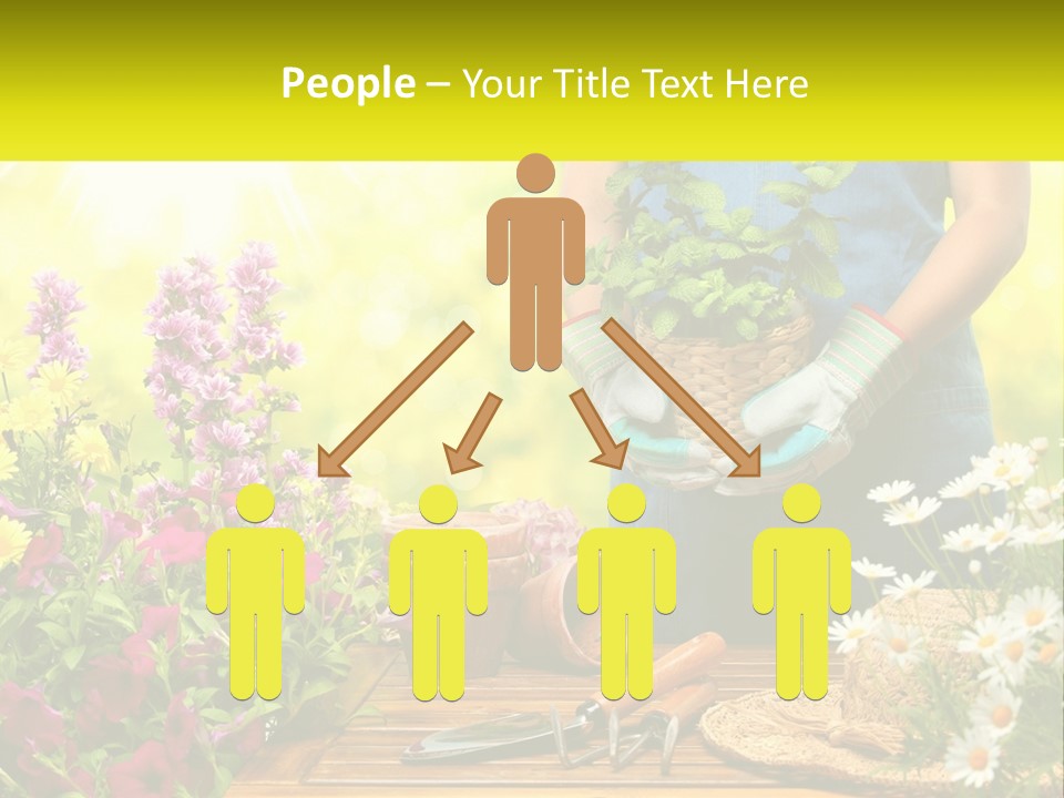 A Person Holding A Potted Plant In Their Hands PowerPoint Template