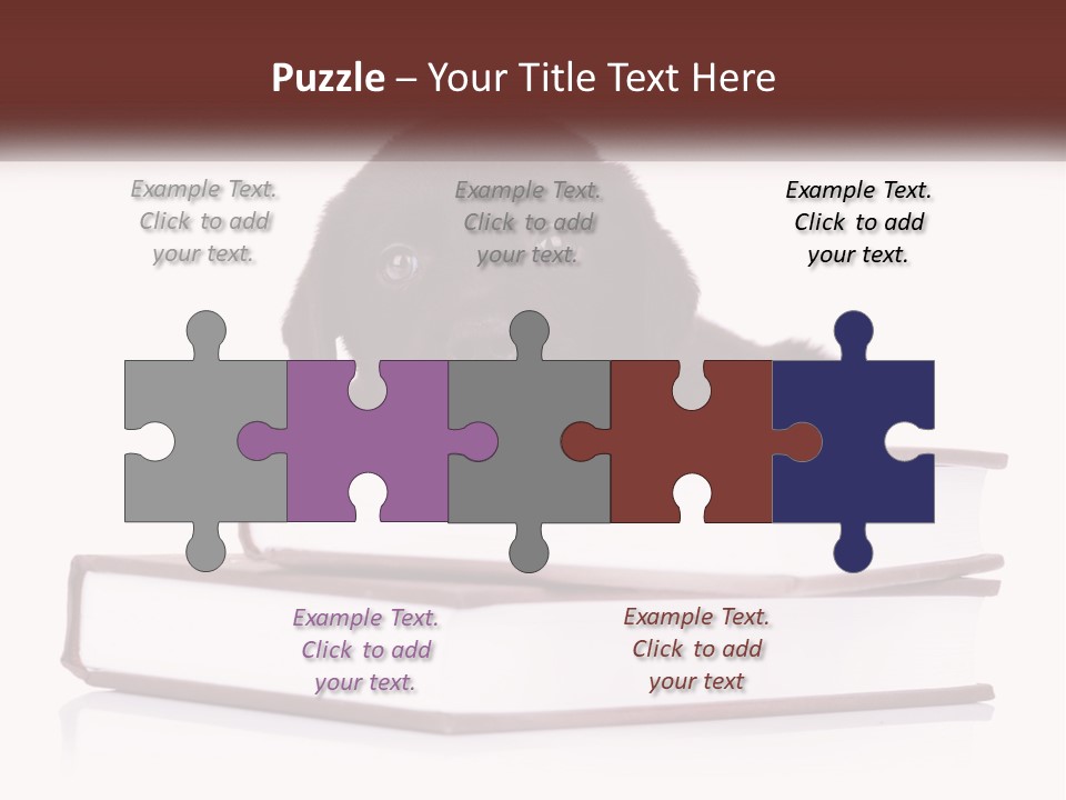 A Black Dog Laying On Top Of A Pile Of Books PowerPoint Template