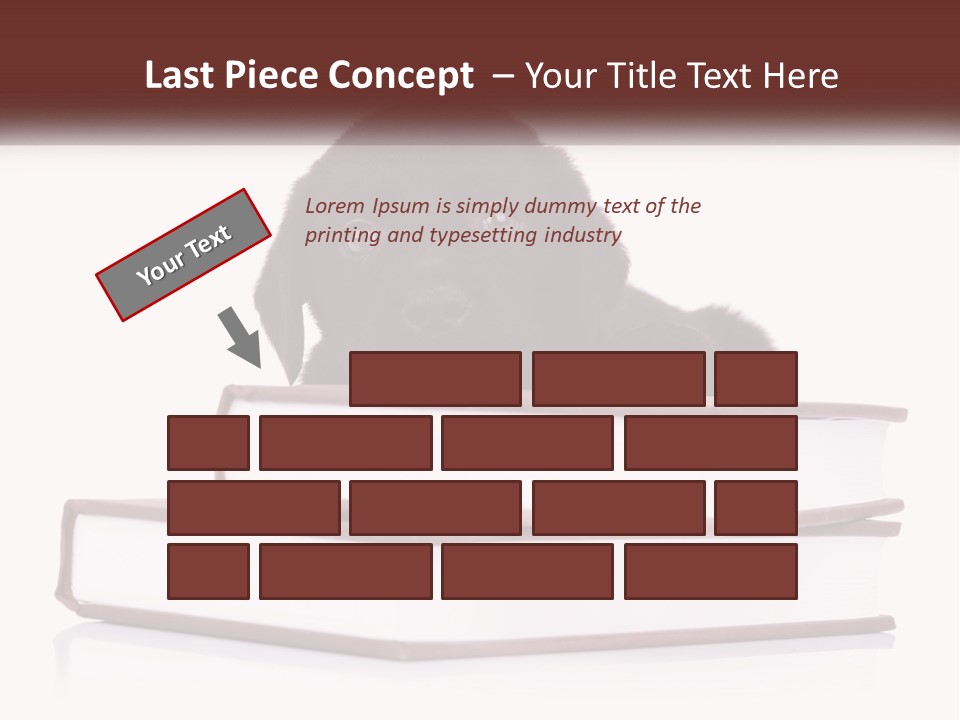 A Black Dog Laying On Top Of A Pile Of Books PowerPoint Template
