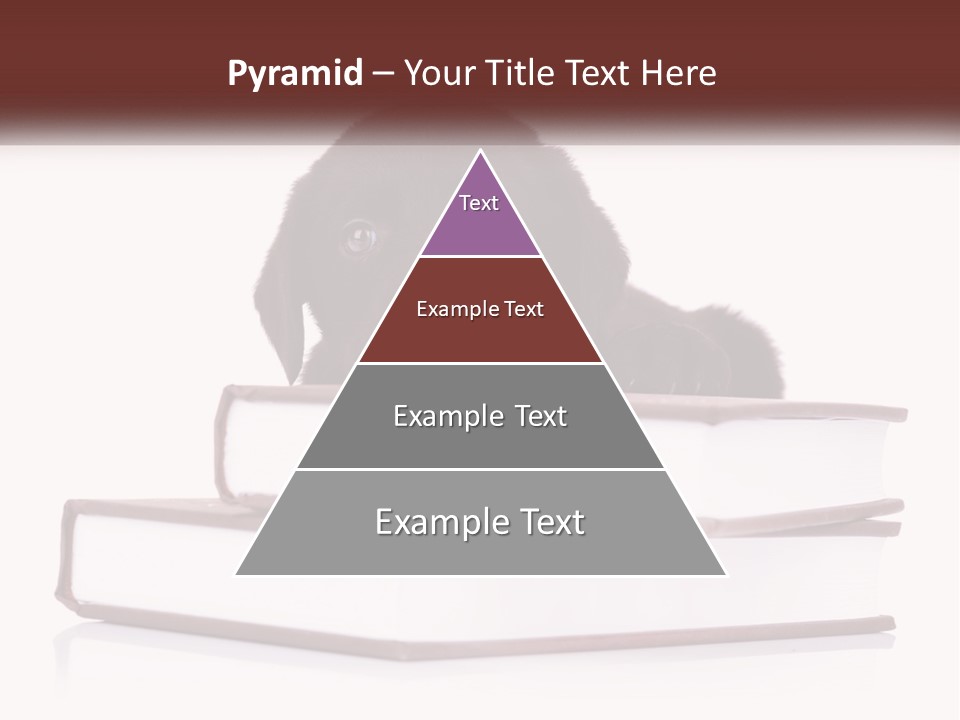 A Black Dog Laying On Top Of A Pile Of Books PowerPoint Template