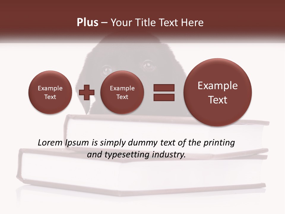 A Black Dog Laying On Top Of A Pile Of Books PowerPoint Template