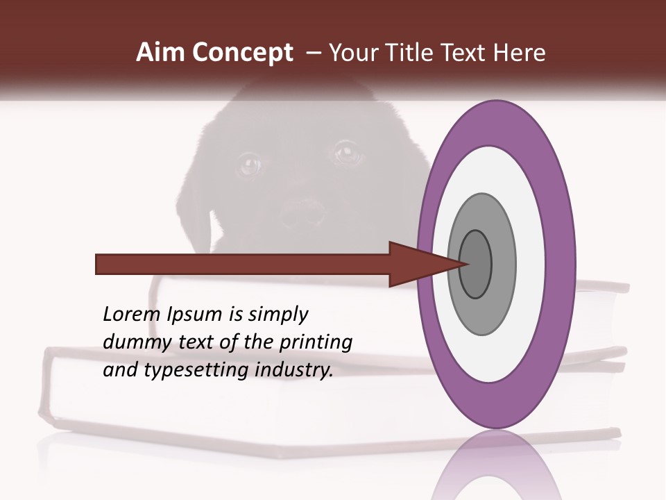 A Black Dog Laying On Top Of A Pile Of Books PowerPoint Template