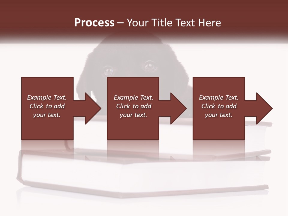 A Black Dog Laying On Top Of A Pile Of Books PowerPoint Template