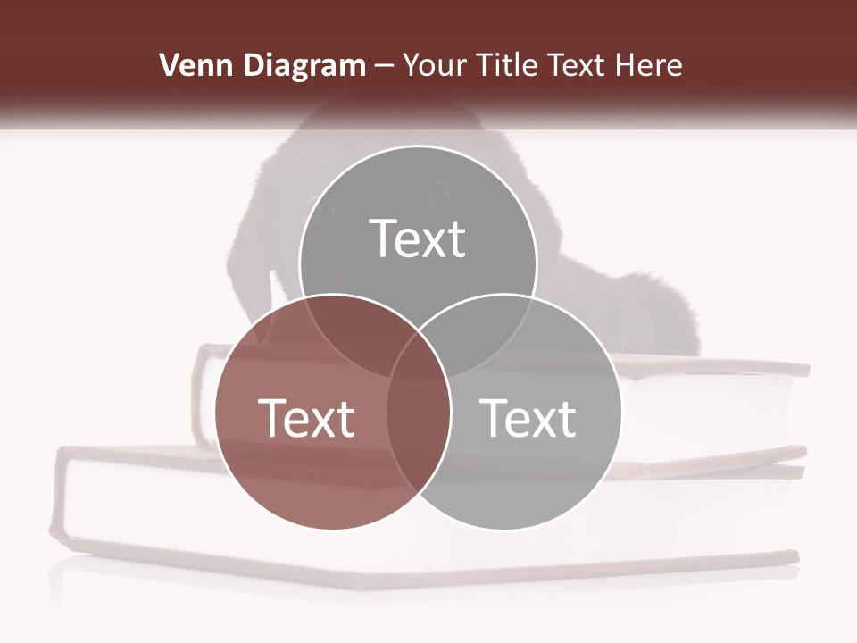 A Black Dog Laying On Top Of A Pile Of Books PowerPoint Template
