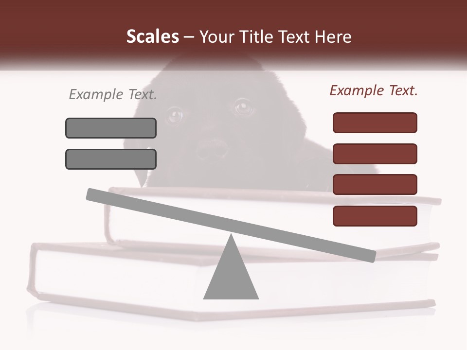 A Black Dog Laying On Top Of A Pile Of Books PowerPoint Template