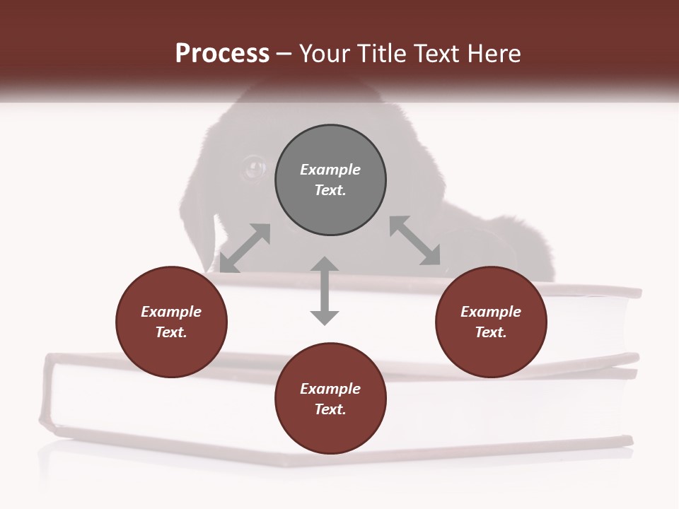 A Black Dog Laying On Top Of A Pile Of Books PowerPoint Template