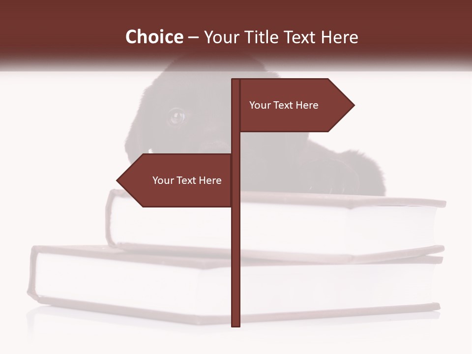 A Black Dog Laying On Top Of A Pile Of Books PowerPoint Template