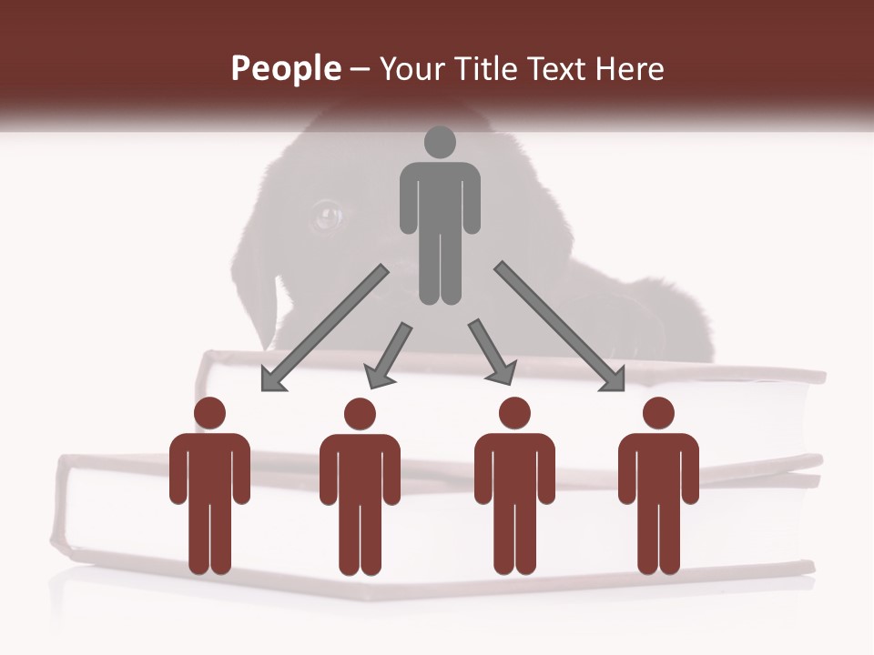 A Black Dog Laying On Top Of A Pile Of Books PowerPoint Template