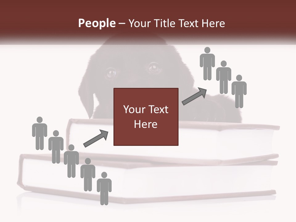 A Black Dog Laying On Top Of A Pile Of Books PowerPoint Template