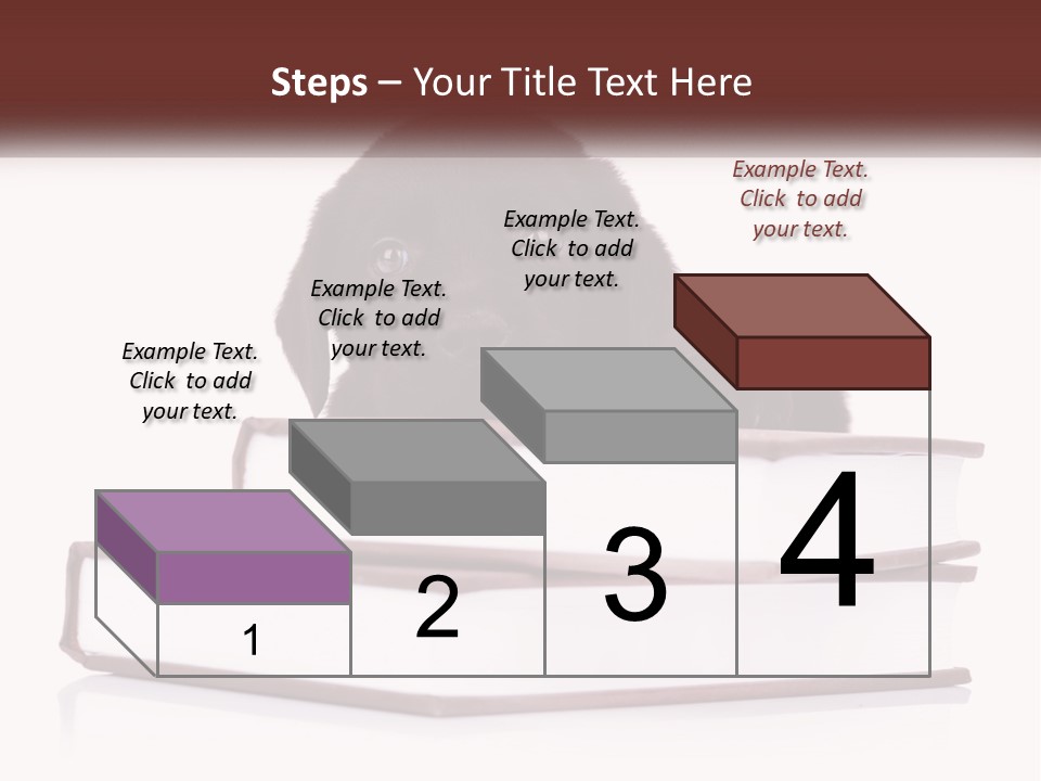 A Black Dog Laying On Top Of A Pile Of Books PowerPoint Template