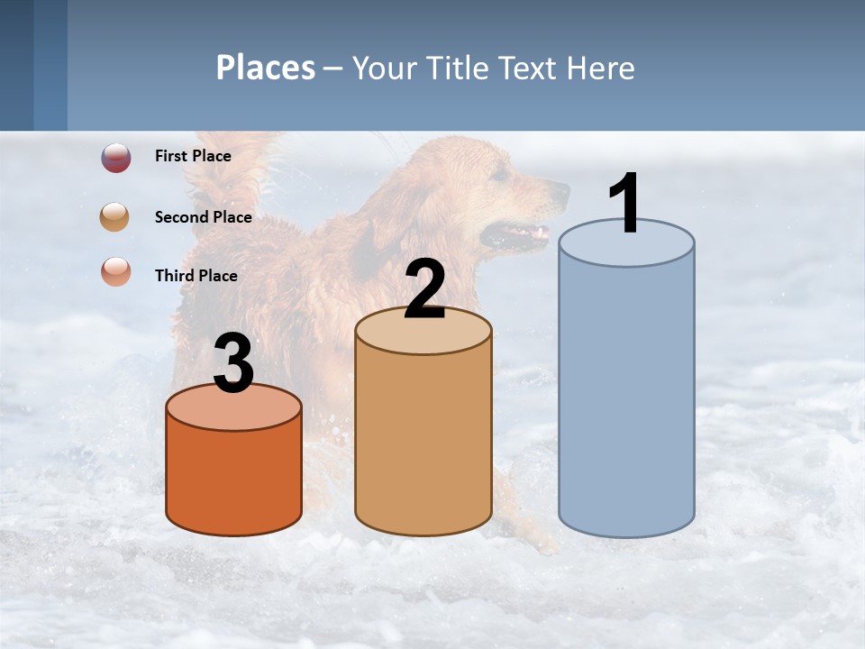 A Brown Dog Running Through The Ocean Waves PowerPoint Template