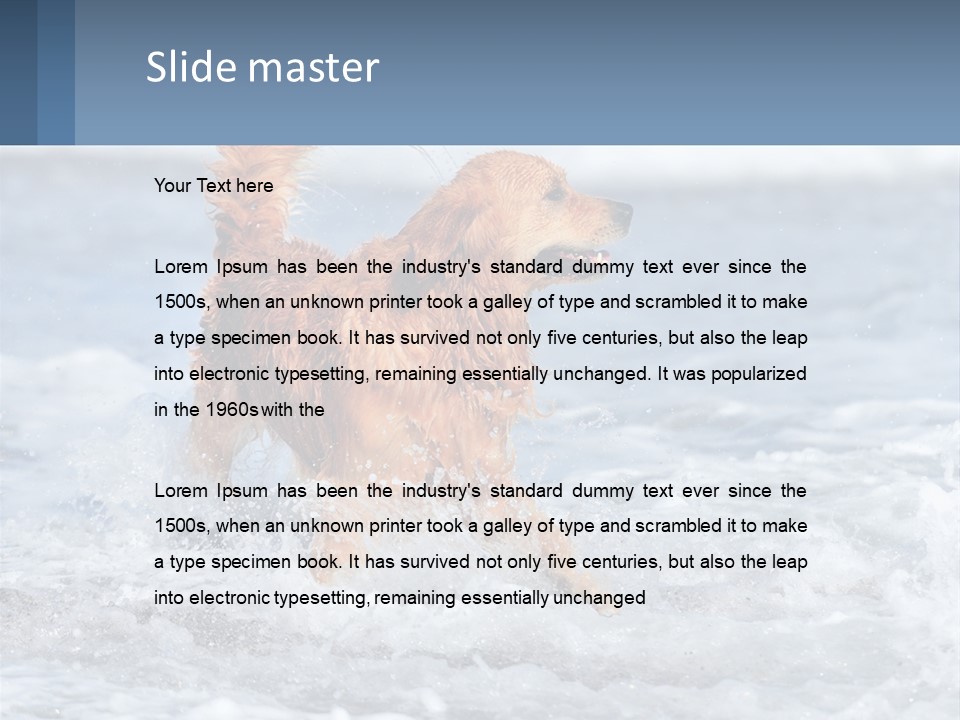 A Brown Dog Running Through The Ocean Waves PowerPoint Template