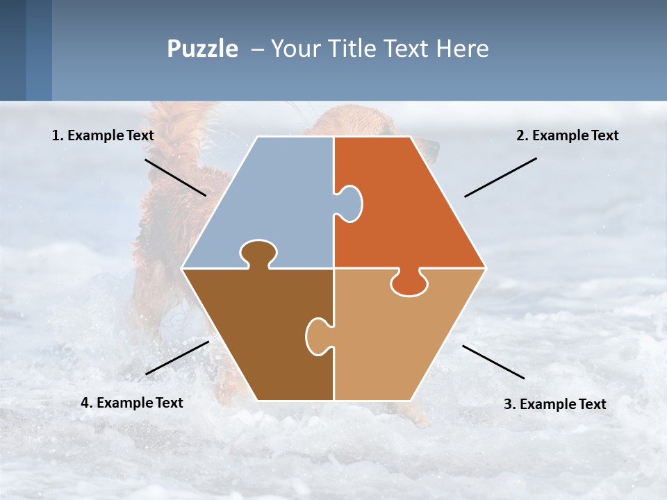 A Brown Dog Running Through The Ocean Waves PowerPoint Template