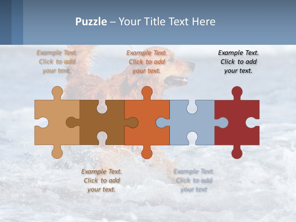 A Brown Dog Running Through The Ocean Waves PowerPoint Template