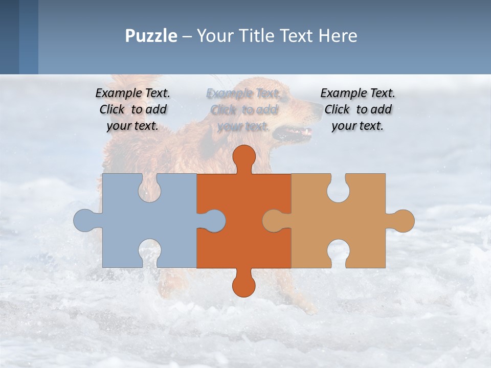 A Brown Dog Running Through The Ocean Waves PowerPoint Template