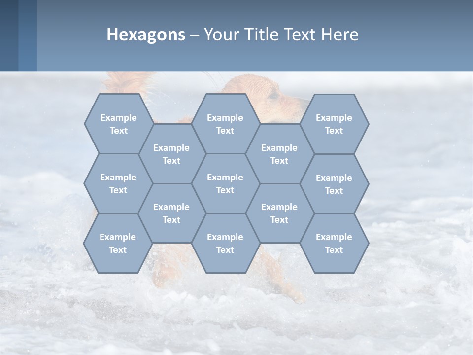 A Brown Dog Running Through The Ocean Waves PowerPoint Template