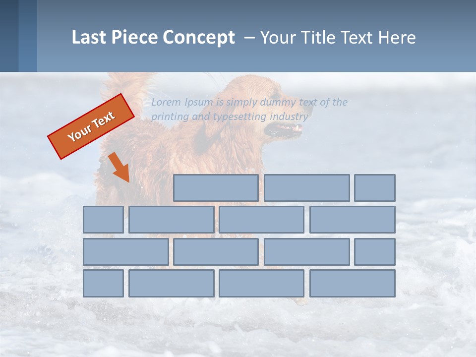 A Brown Dog Running Through The Ocean Waves PowerPoint Template