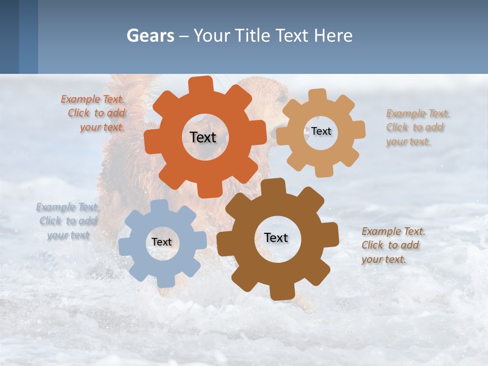 A Brown Dog Running Through The Ocean Waves PowerPoint Template