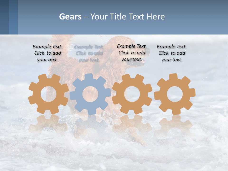 A Brown Dog Running Through The Ocean Waves PowerPoint Template