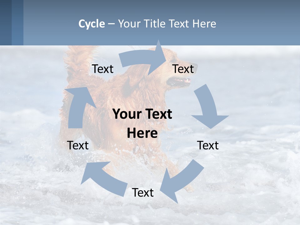 A Brown Dog Running Through The Ocean Waves PowerPoint Template