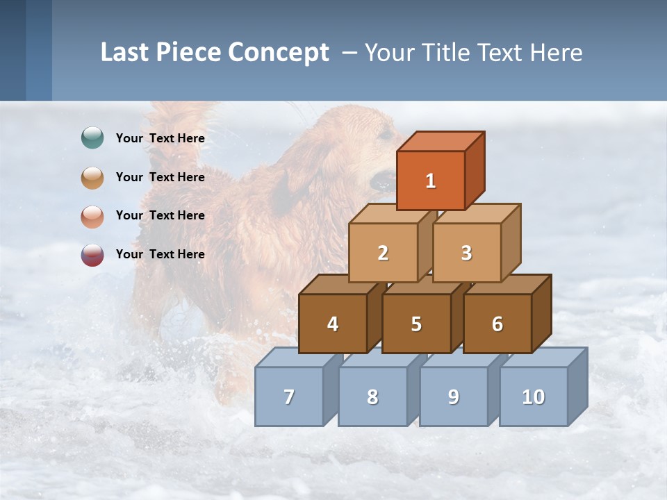 A Brown Dog Running Through The Ocean Waves PowerPoint Template