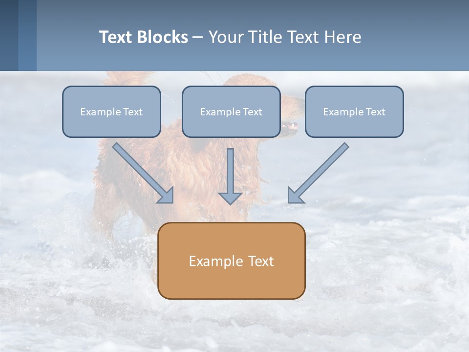 A Brown Dog Running Through The Ocean Waves PowerPoint Template