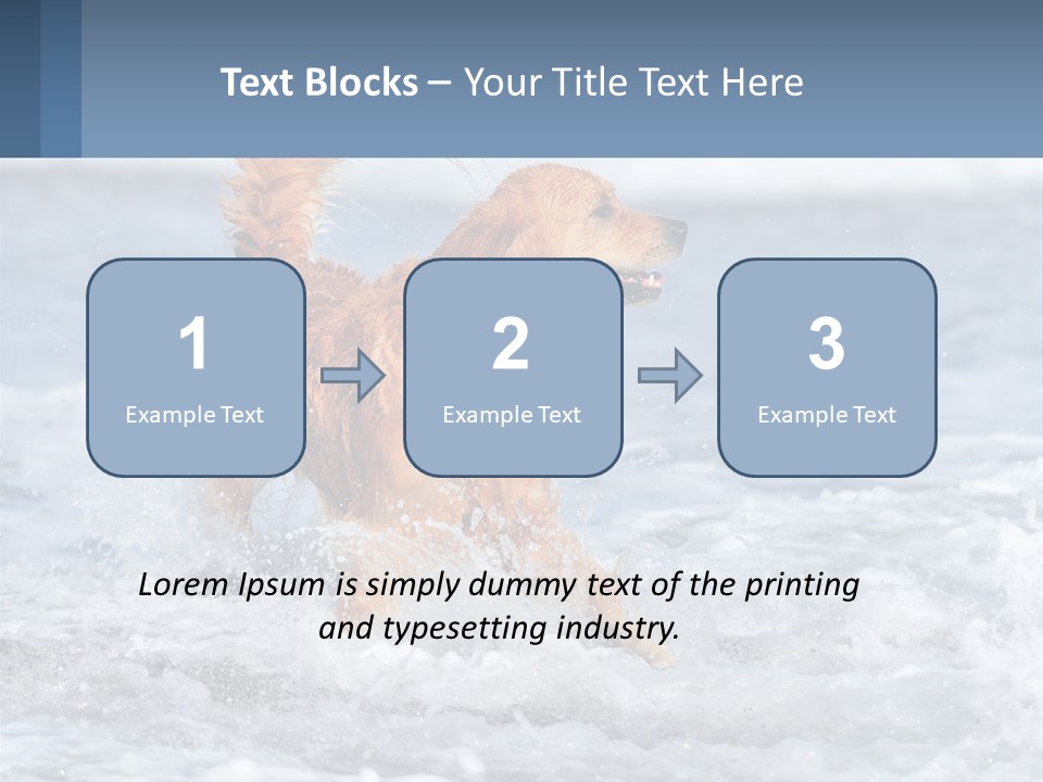 A Brown Dog Running Through The Ocean Waves PowerPoint Template