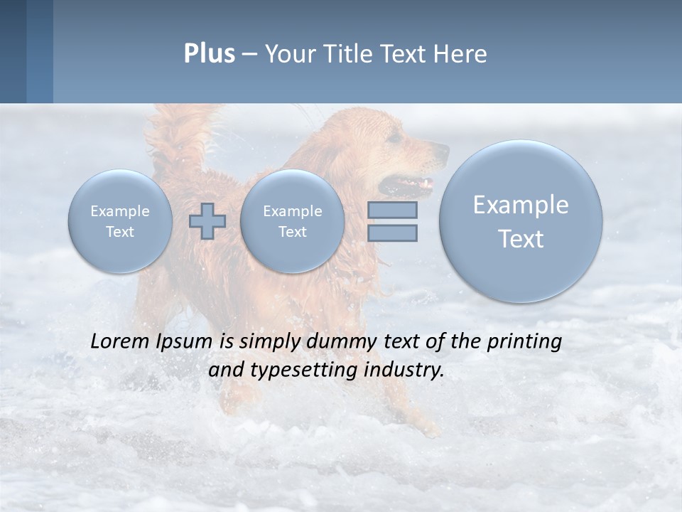 A Brown Dog Running Through The Ocean Waves PowerPoint Template