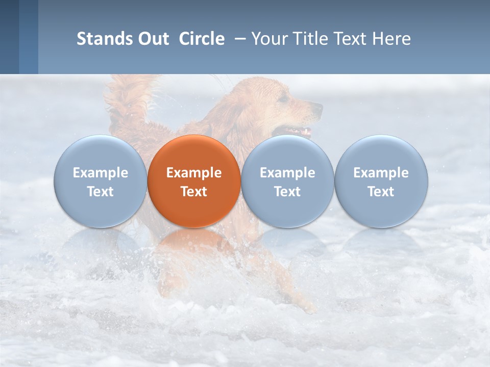 A Brown Dog Running Through The Ocean Waves PowerPoint Template