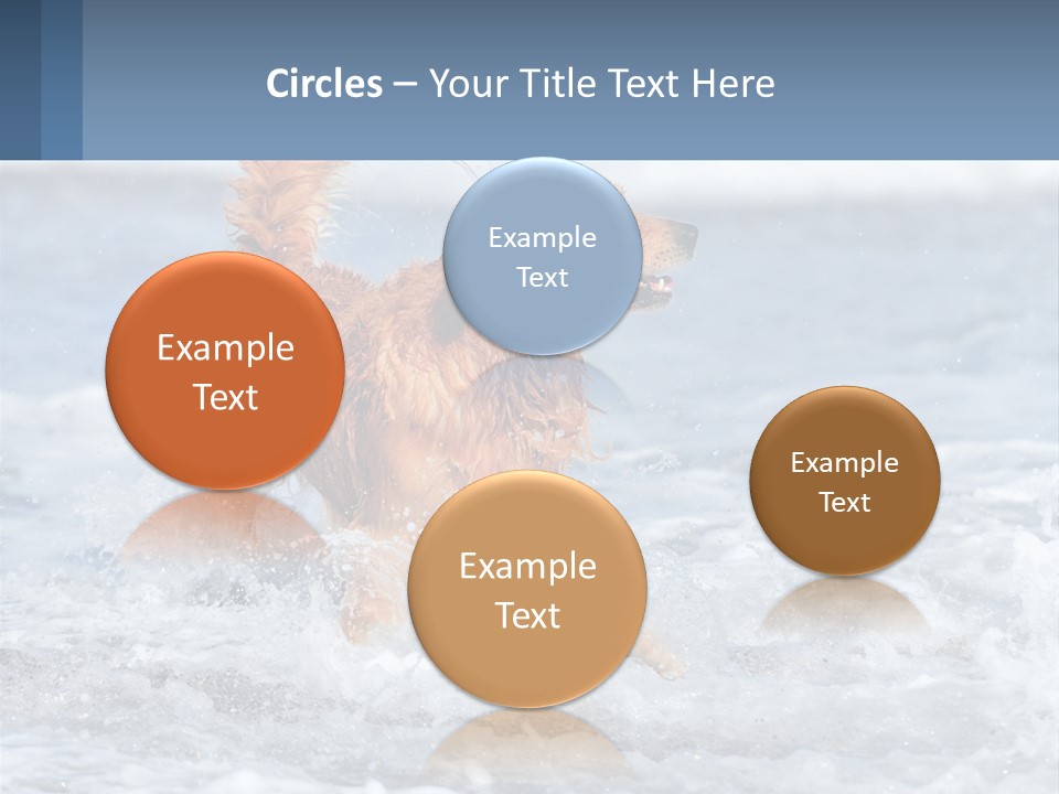 A Brown Dog Running Through The Ocean Waves PowerPoint Template