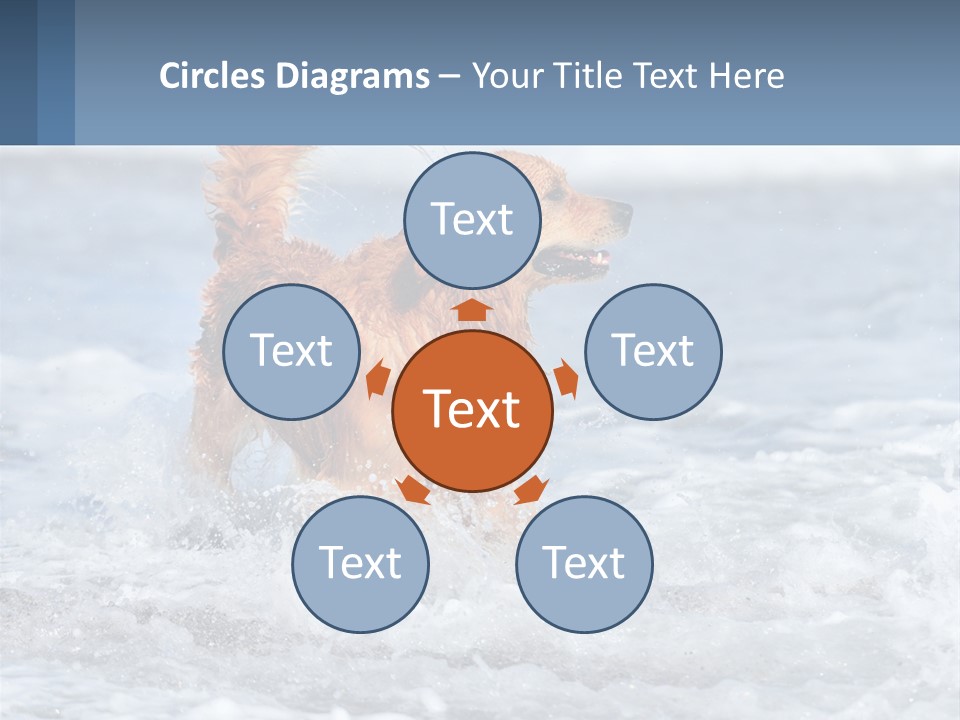 A Brown Dog Running Through The Ocean Waves PowerPoint Template