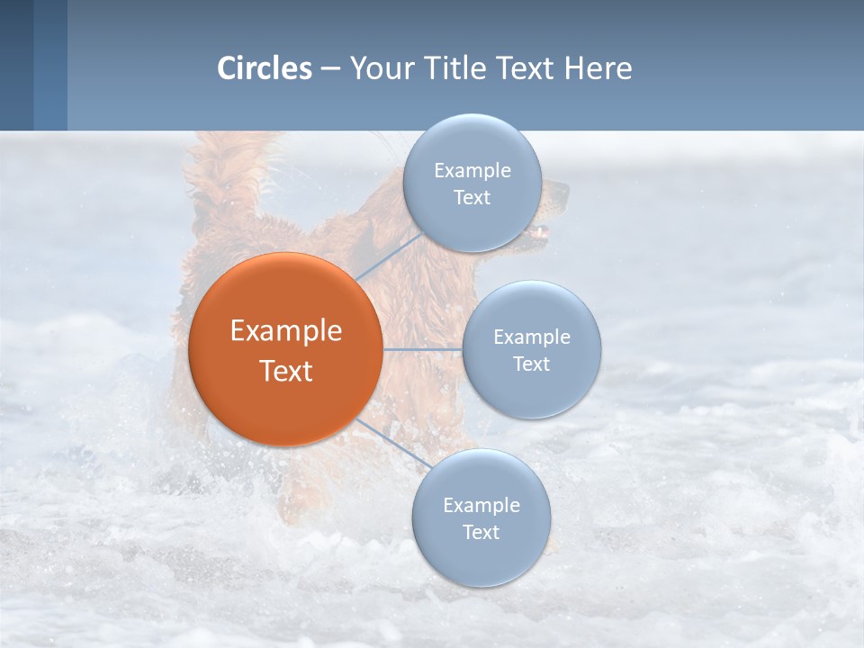 A Brown Dog Running Through The Ocean Waves PowerPoint Template