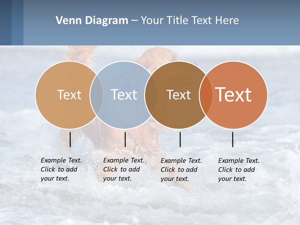 A Brown Dog Running Through The Ocean Waves PowerPoint Template