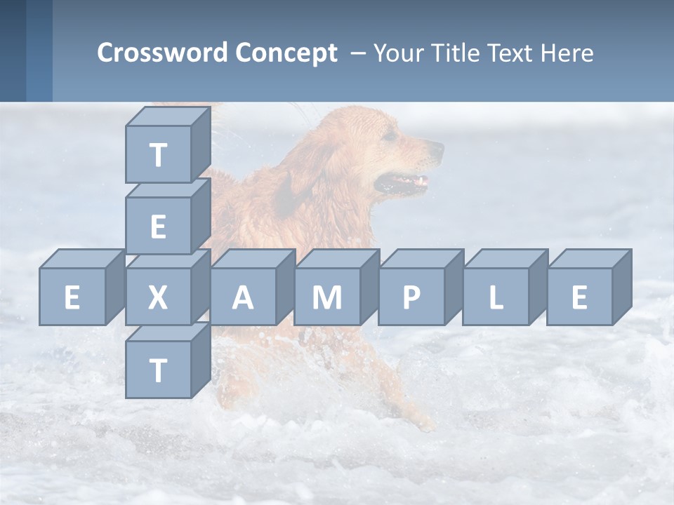 A Brown Dog Running Through The Ocean Waves PowerPoint Template