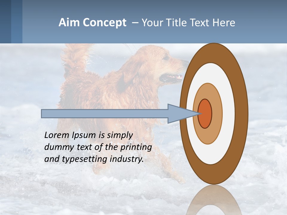 A Brown Dog Running Through The Ocean Waves PowerPoint Template